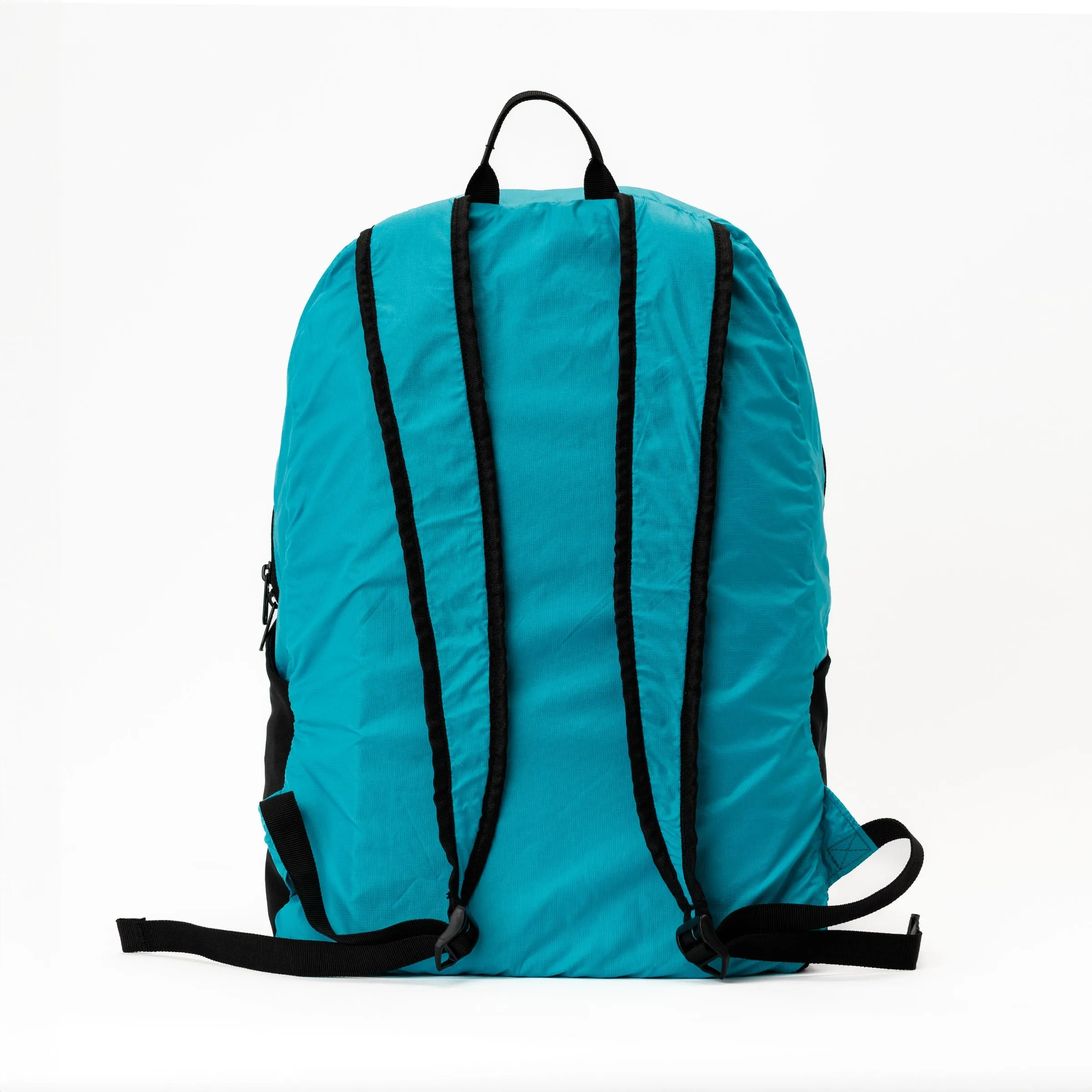 'Almost Perfect' Swathi Backpack