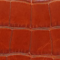 Fête Pochette