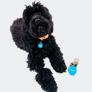 Gus & Co - Dog Tag and Keychain Set