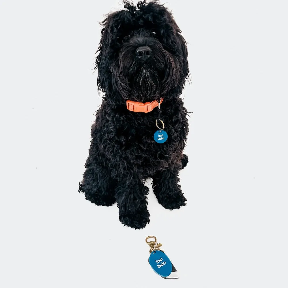 Gus & Co - Dog Tag and Keychain Set