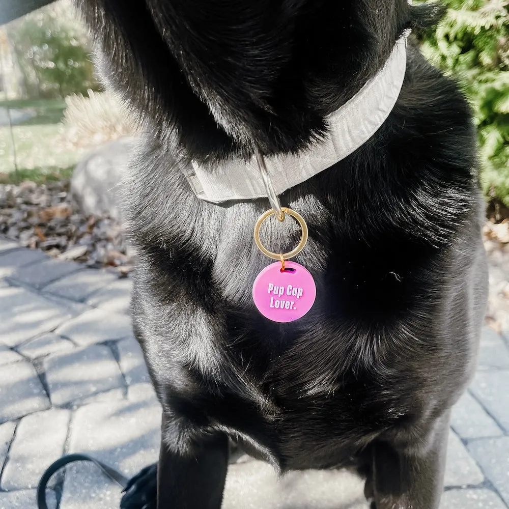 Gus & Co - Dog Tag and Keychain Set