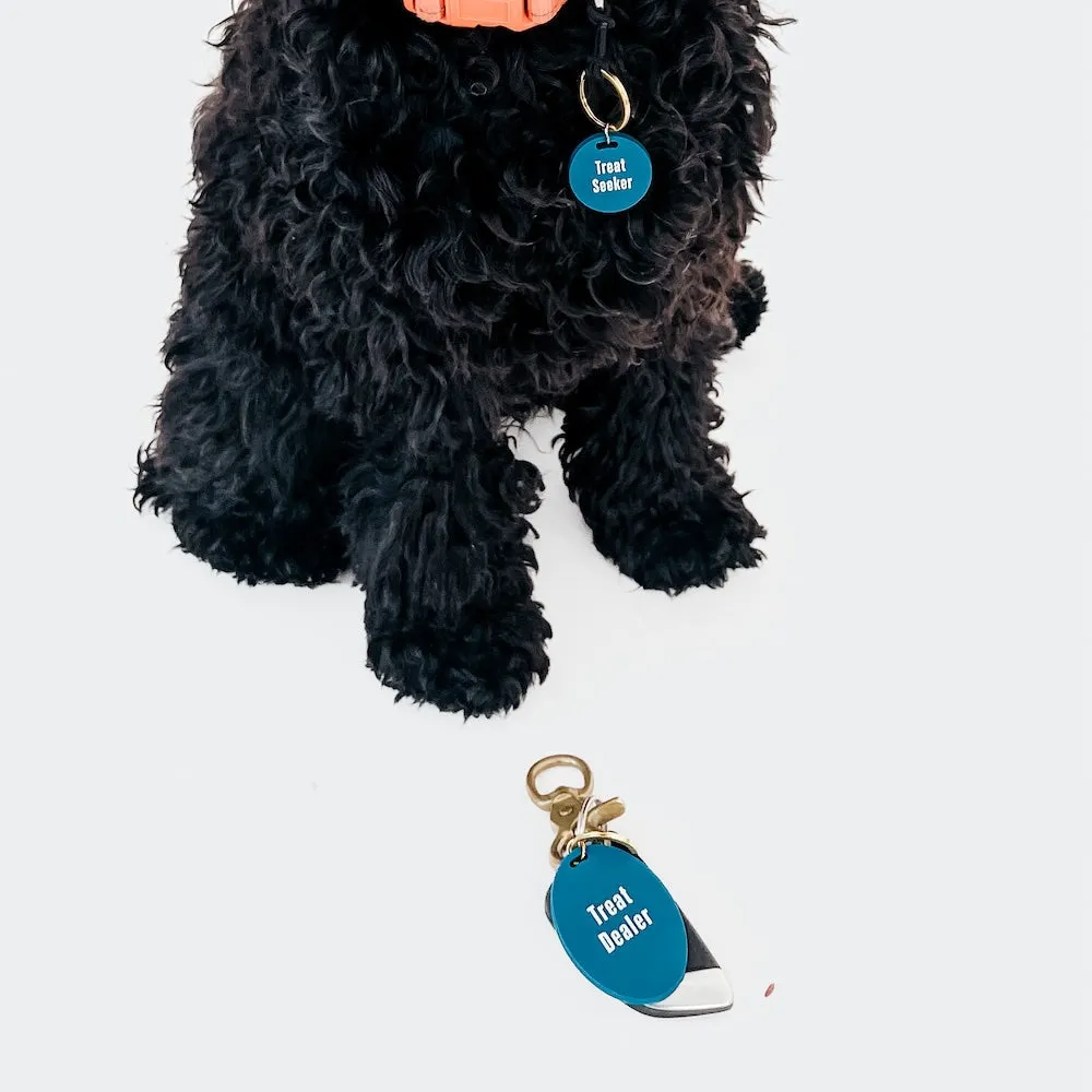 Gus & Co - Dog Tag and Keychain Set